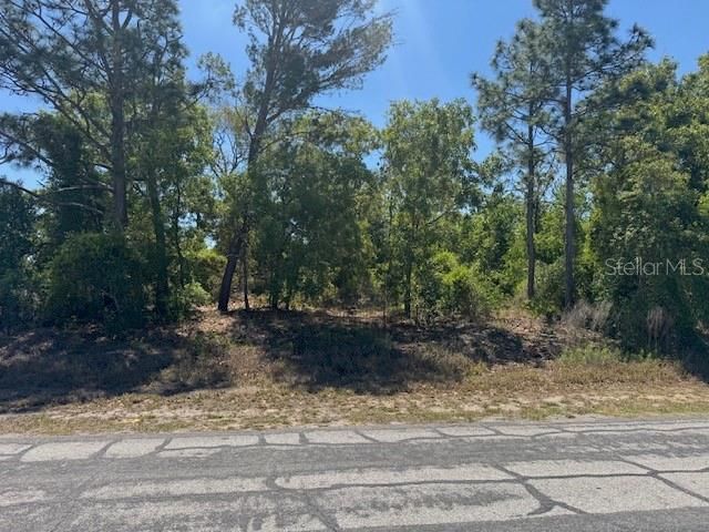 11364 PATCH STREET, Spring Hill, FL 34609