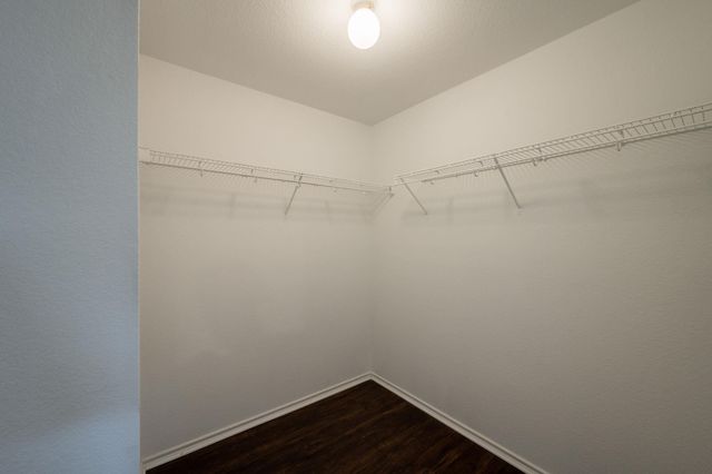 292 Dandelion LOOP, Kyle, TX 78640
