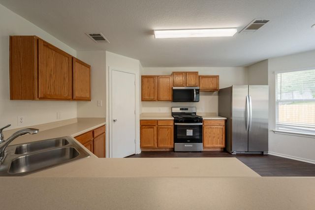 292 Dandelion LOOP, Kyle, TX 78640