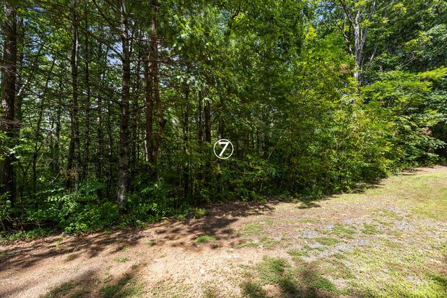 lot 7 Timber Lane Court, Turtletown, TN 37391
