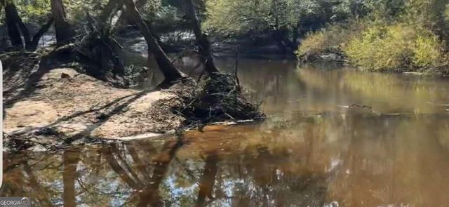 1564 Joy Bluff Road, Reidsville, GA 30453