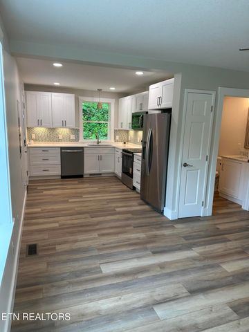 573 Briceville Hwy, Rocky Top, TN 37769