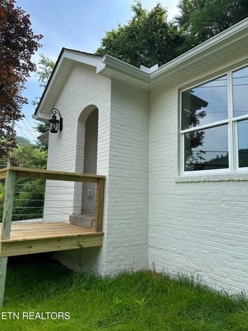 573 Briceville Hwy, Rocky Top, TN 37769