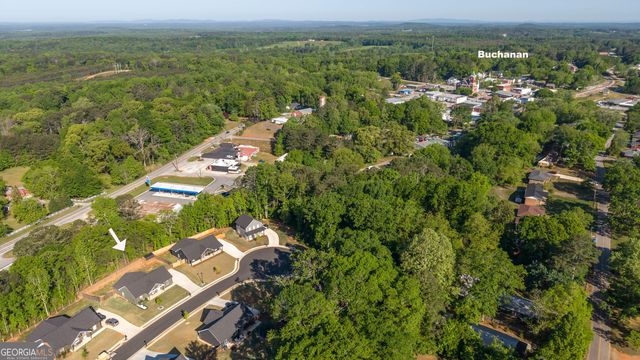 153 Addie Jane Lane, Buchanan, GA 30113