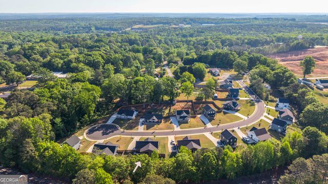 153 Addie Jane Lane, Buchanan, GA 30113