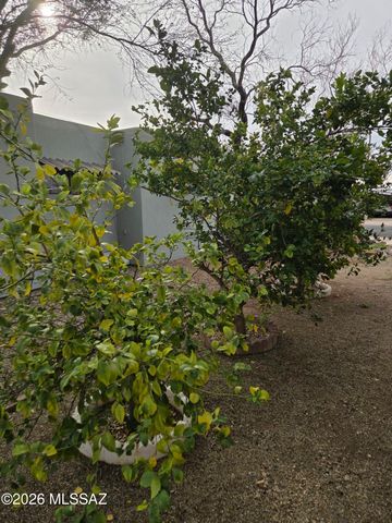 5756 W Flying M Street, Tucson, AZ 85713