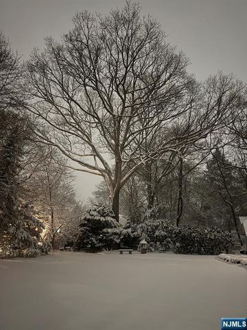 208 Lincoln Avenue, Ridgewood, NJ 07450