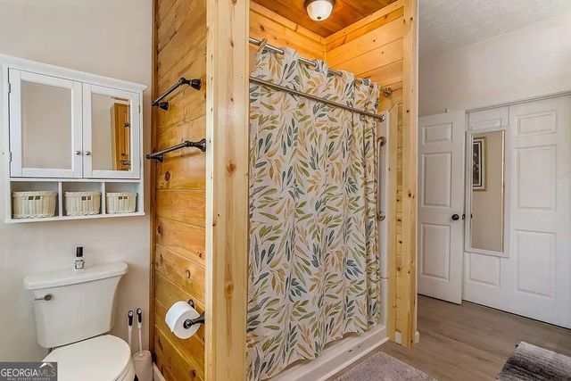 233 Ivy Ridge, Ellijay, GA 30536