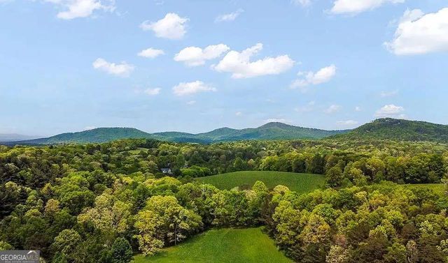 233 Ivy Ridge, Ellijay, GA 30536