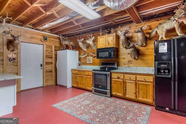 233 Ivy Ridge, Ellijay, GA 30536