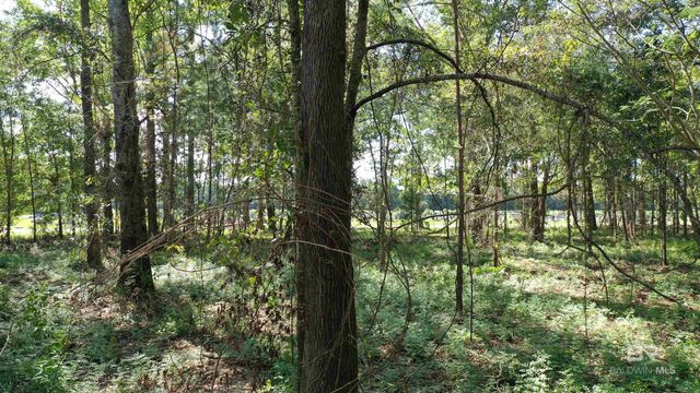 Lot 6 Harris Street, Atmore, AL 36502