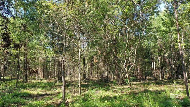 Lot 6 Harris Street, Atmore, AL 36502