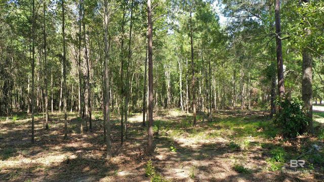Lot 6 Harris Street, Atmore, AL 36502