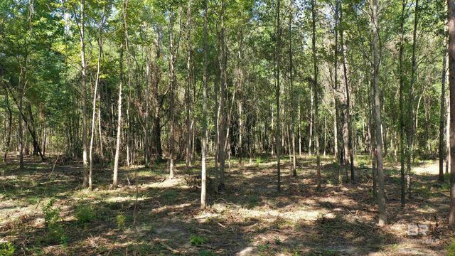 Lot 6 Harris Street, Atmore, AL 36502