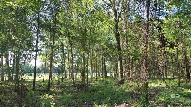 Lot 6 Harris Street, Atmore, AL 36502