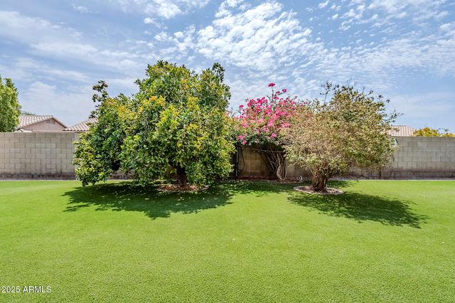 6223 E PRESTON Street, Mesa, AZ 85215