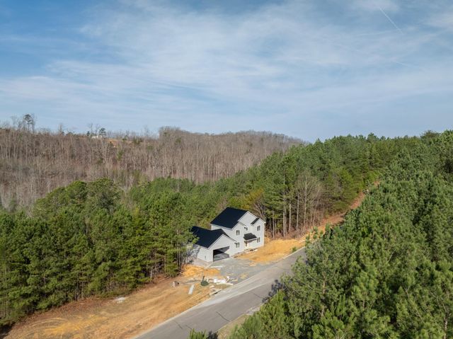 123 Cherokee Ridge Drive, Ocoee, TN 37361