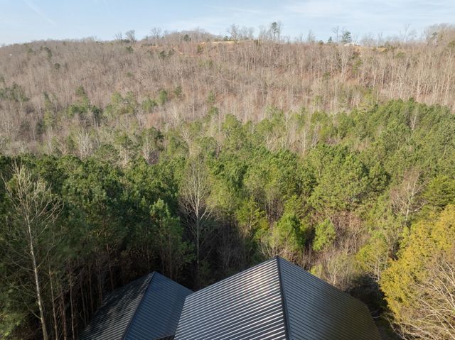 123 Cherokee Ridge Drive, Ocoee, TN 37361