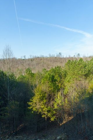 123 Cherokee Ridge Drive, Ocoee, TN 37361