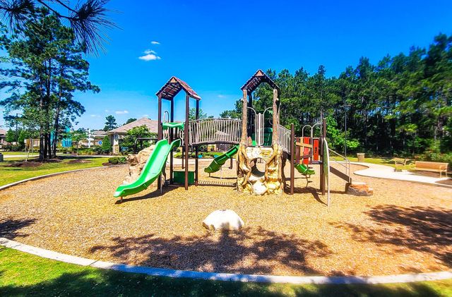20330 Green Mountain Drive, New Caney, TX 77357