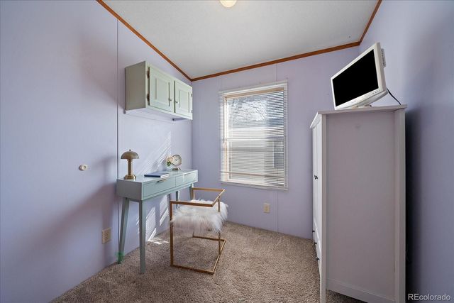159 Mallard Street, Golden, CO 80401