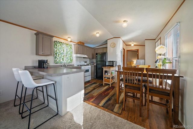 159 Mallard Street, Golden, CO 80401