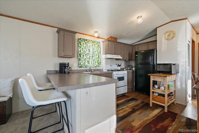 159 Mallard Street, Golden, CO 80401
