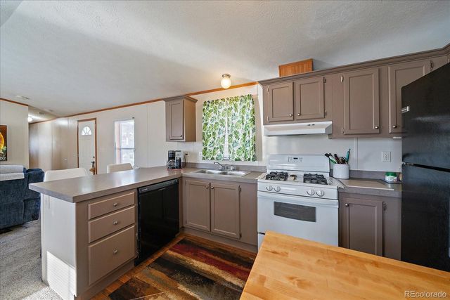 159 Mallard Street, Golden, CO 80401