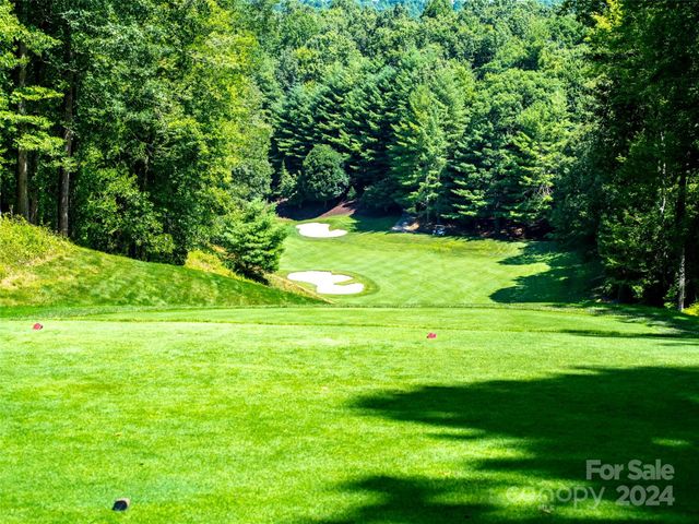 3 Cooper Cove South 53B, Hendersonville, NC 28739