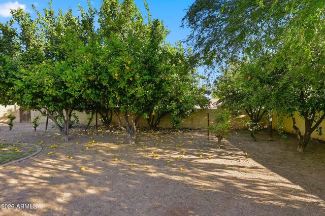 16394 W Hilton Avenue, Goodyear, AZ 85338