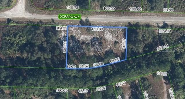 3348 DORADO AVENUE, Lake Placid, FL 33852