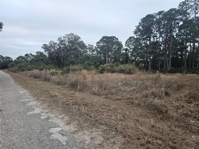 3348 DORADO AVENUE, Lake Placid, FL 33852