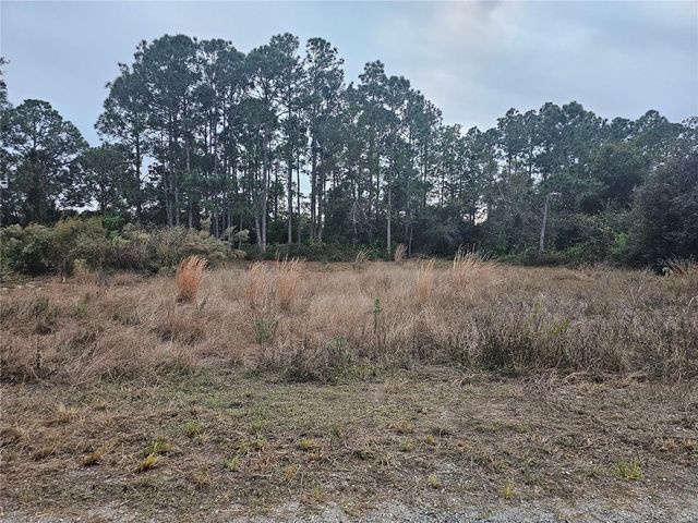 3348 DORADO AVENUE, Lake Placid, FL 33852