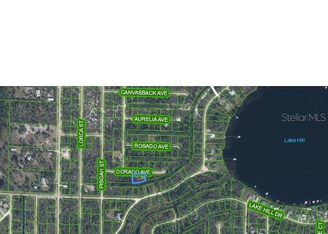 3348 DORADO AVENUE, Lake Placid, FL 33852