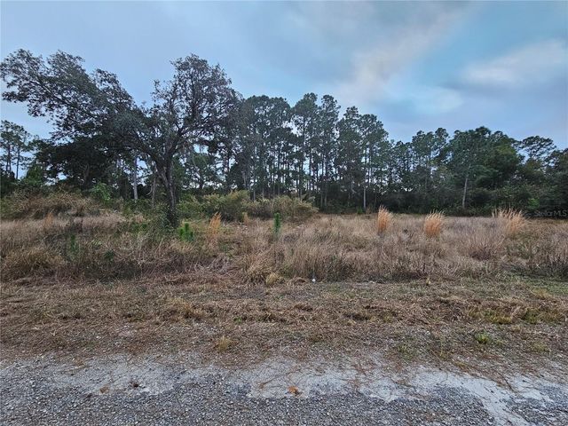 3348 DORADO AVENUE, Lake Placid, FL 33852