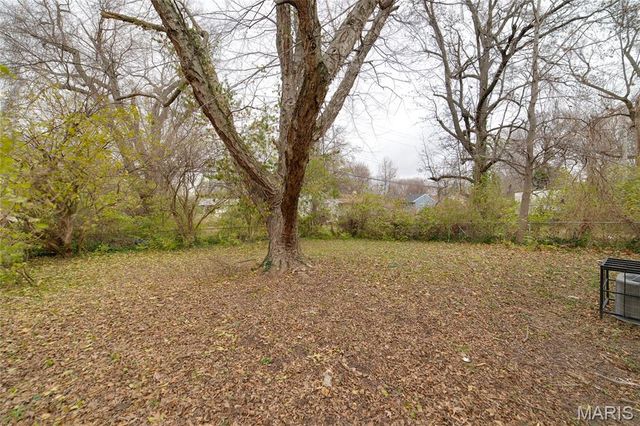 10769 Spring Garden Drive, St Louis, MO 63137