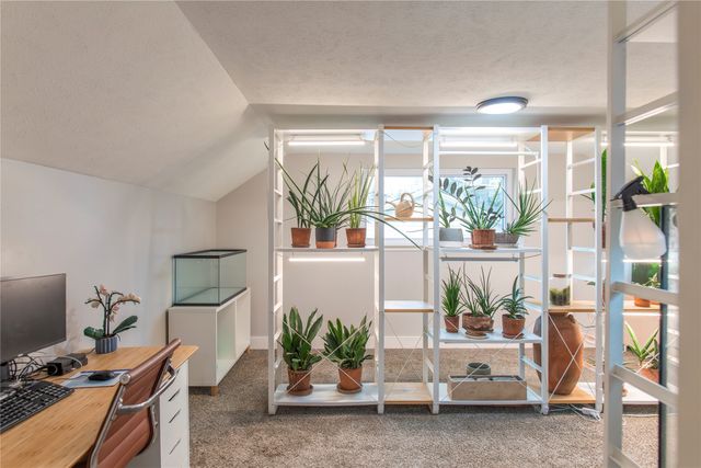 3906 Treeline Drive, Dallas, TX 75224