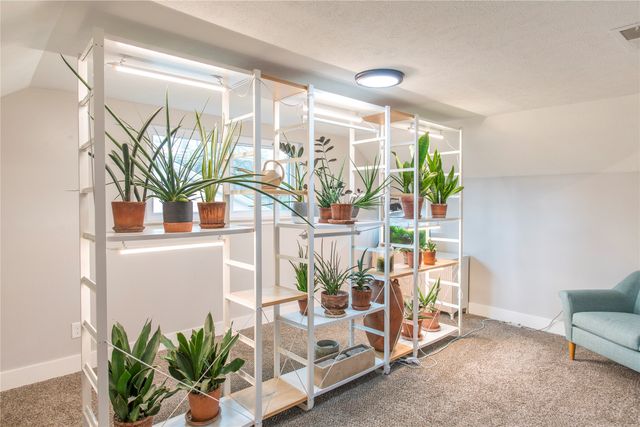 3906 Treeline Drive, Dallas, TX 75224