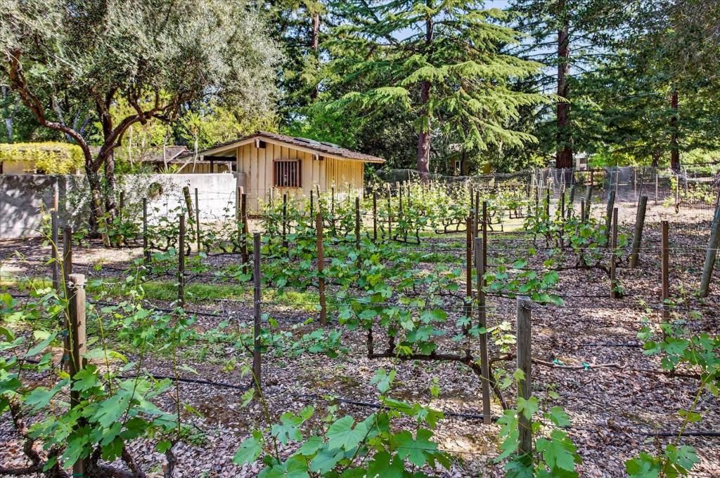 Image 37 of property listing at 14176 Quail Acres, Saratoga, CA 95070