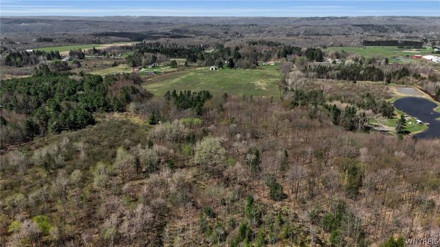 8721 Center Road, Colden, NY 14080
