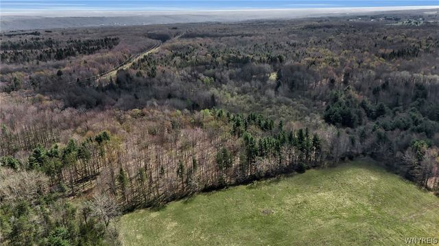 8721 Center Road, Colden, NY 14080