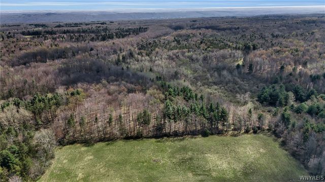 8721 Center Road, Colden, NY 14080