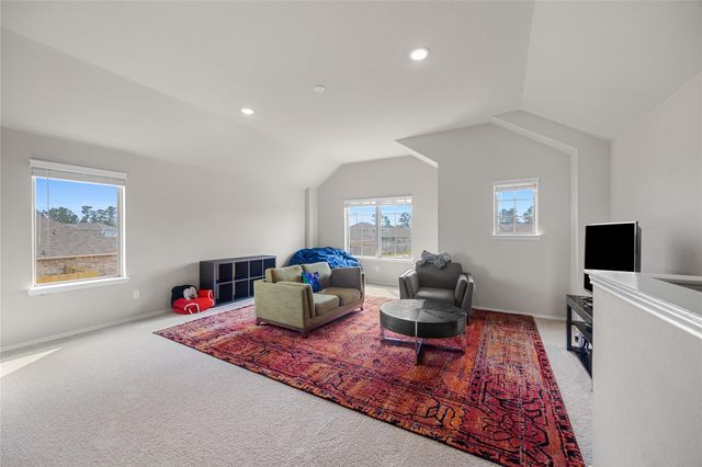 523 High Holly Circle, Magnolia, TX 77354