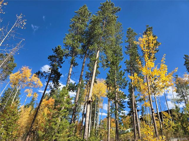 1279 American Way, Breckenridge, CO 80424