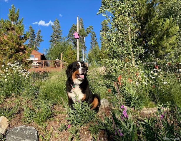 1279 American Way, Breckenridge, CO 80424