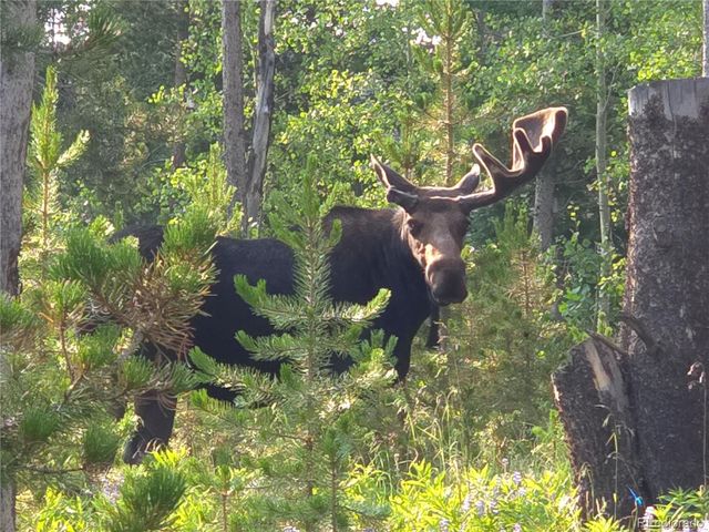 1279 American Way, Breckenridge, CO 80424