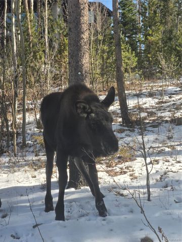 1279 American Way, Breckenridge, CO 80424