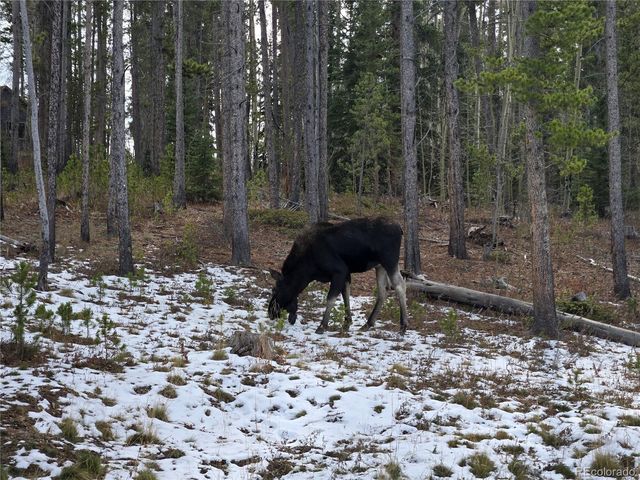 1279 American Way, Breckenridge, CO 80424