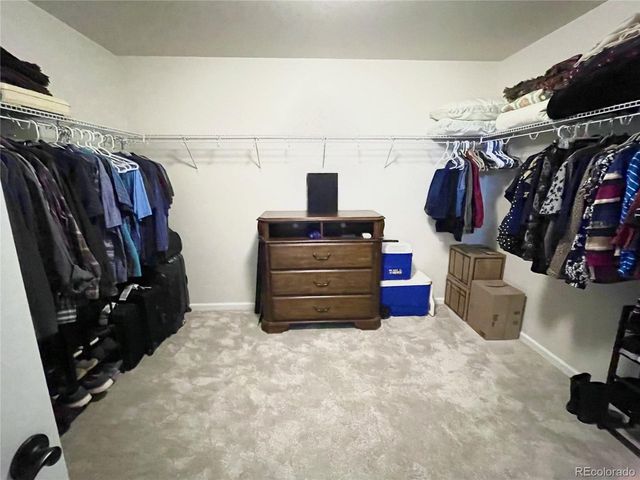 12648 Canoe St, Longmont, CO 80504