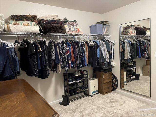 12648 Canoe St, Longmont, CO 80504